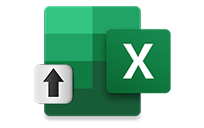 Export XLS